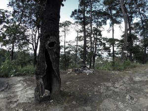 DCIM107GOPRO
